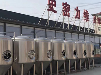 江岸精酿啤酒设备厂—市场规模与跨界新需求